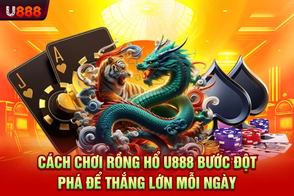 Cách chơi rồng hổ