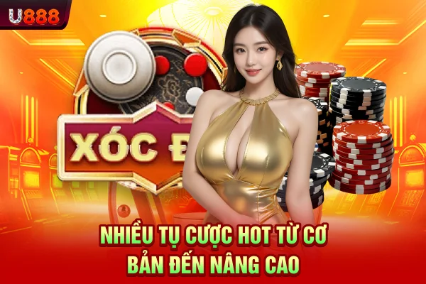 Nhiều tụ cược hot từ cơ bản đến nâng cao