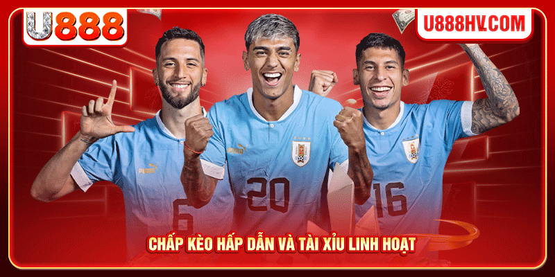 Chấp kèo hấp dẫn và tài xỉu linh hoạt